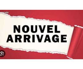 CITROËN 1.2 82 CH FEEL EDITION