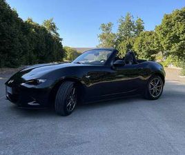 1.5 EXCEED 132CV MY19