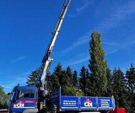 MAN TRUCK MAN TGS VEND CAMION GRUE