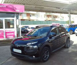 C4 CACTUS ESSENCE 110 SHINE