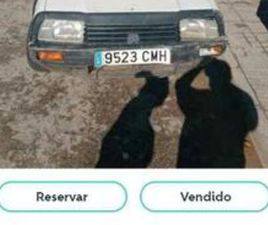 CITROEN C15 CITROEN - C15