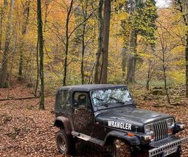 JEEP WRANGLER JEEP WANGLER 1889