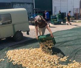CITROEN ACADIANE ② CITROËN ACADIANE — OLDTIMERS & ANCÊTRES — 2EMEMAIN