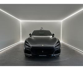 OCCASION PUROSANGUE 2025 À VENDRE À WIJNEGEM