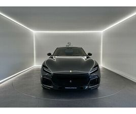 OCCASION PUROSANGUE 2025 À VENDRE À WIJNEGEM