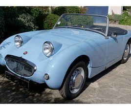 AUSTIN HEALEY SPRITE AUSTIN HEALEY SPRITE FROGEYE 1959
