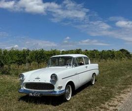 OPEL REKORD 1.5 1962 WIT — OPEL — MARKTPLAATS