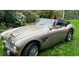 AUSTIN HEALEY 3000 1965 | AUSTIN-HEALEY 3000 MK III (BJ8)