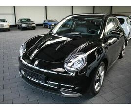 ORA FUNKY CAT ORA ORA 03 300 PRO