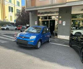 1.0 FIREFLY HYBRID -PANDINA NUOVO MOD 2025