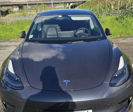 TESLA MODEL 3 STANDARD PLUS TESLA MODEL 3 STANDARD RANGE PLUS RWD