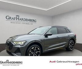 AUDI E-TRON 50 QUATTRO S LINE ACC 360°KAMERA NAVI AHK