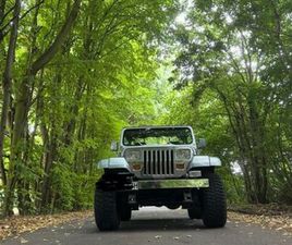JEEP WRANGLER CONVERTIBLE WRANGLER YJ 4.2