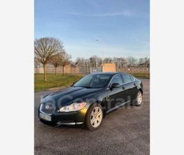 5.0 V8 385 LUXE PREMIUM