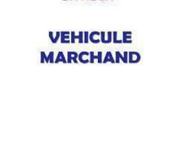 C4 CACTUS PURETECH 110 S&S SHINE