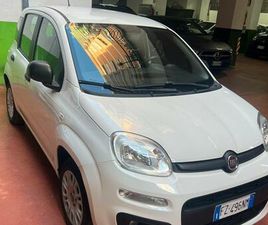 FIAT PANDA FIAT PANDA 1.2 BENZINA €6