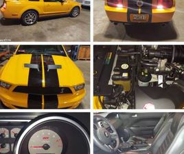 FORD SHELBY COBRA 2008 SHELBY COBRA MUSTANG