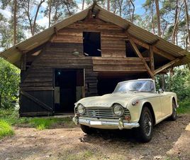 TRIUMPH TR4 TRIUMPH TR4A - 1966
