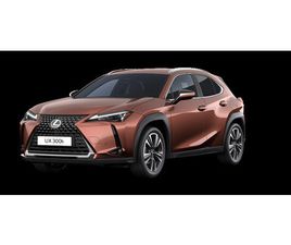 LEXUS UX 300H BUSINESS EDITION (2X4)
