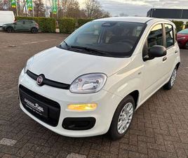 FIAT PANDA PANDA 1.0 GSE MILD-HYBRID | KLIMA | TAGFAHRLICHT