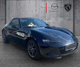 131CH SAKURA NAVI BOSE CUIR / 12