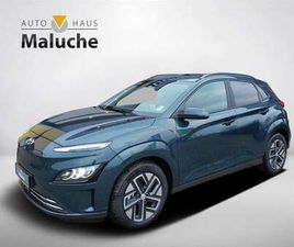 EV TREND 64KWH 204PS +NAVI+ASSISTENZ-PAKET+