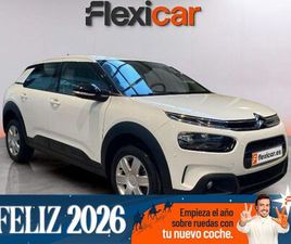 BLUEHDI 100 S&S BUSINESS