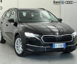 SKODA OCTAVIA IV 2024 WAGON OCTAVIA WAGON 2.0 TDI EXECUTIVE 150CV DSG