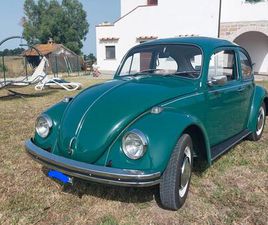 VOLKSWAGEN BEETLE VOLKSWAGEN MAGGIOLINO 1969