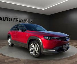 145PS MAKOTO AT+ 360°+ALLWETTERREIFEN+BOSE+PRE-P+MRCC+MATRIX-LED+DA