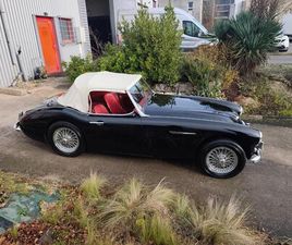 AUSTIN HEALEY 3000 AUSTIN HEALEY 3000 - 1960