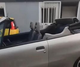 FIAT PUNTO 60 CAT CABRIO S BERTONE