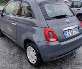 500 (2015-2024) 500 1.0 HYBRID CULT