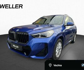 BMW X1 SDRIVE20I M SPORT HUD ACC LED H/K 18