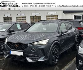 CUPRA FORMENTOR 1.5 TSI NAVI ACC PDC KAMERA BEATS WINT