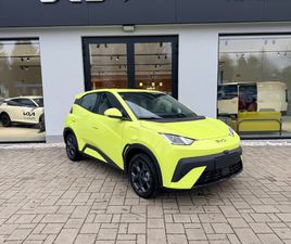 BYD DOLPHIN SURF BOOST