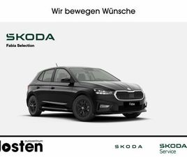 SKODA FABIA COMBI SKODA FABIA SELECTION 1.0TSI PARKEN LICHT&SICHT WINTER