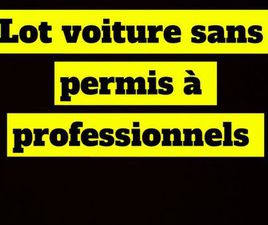 LOT VOITURE SANS PERMIS