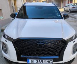 HYUNDAI PALISADE CALLIGRAPHY
