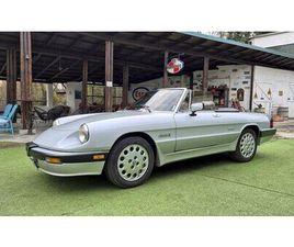 1987 ALFA ROMEO SPIDER QUADRIFOGLIO VERDE A VENDRE