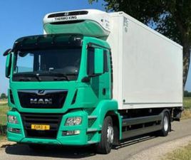 MAN TGS TGS 18.330 EURO6.2020 730X248X245 ALS IN NIEUWSTAAT! — VRACHTWAGENS — MARKTPLAATS