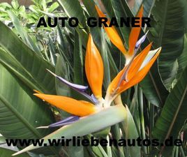 VOLKSWAGEN AMAROK TRENDLINE DOUBLECAB 4MOTION 17