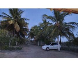 CHEVROLET CELTA 1.0/SUPER/N.PIQ.1.0 MPFI VHC 8V 3P 2002