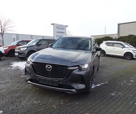 HOMURAVOLLE HÜTTE INKL.AHK