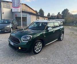 D COUNTRYMAN 2.0 BUSINESS AUTOMATICA