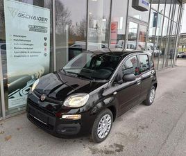 4X2 FIREFLY HYBRID 70 PANDINA