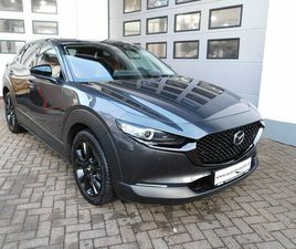 2.5L E-SKY-G140 NAGISA TEILLEDER/LED/BSM/KAMERA/MRCC/AT