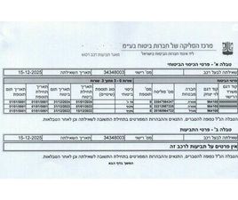 PRO 350 חשמלי אוט׳ (204 כ״ס)