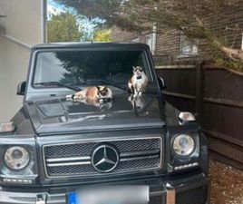 MERCEDES-BENZ RARER G65 AMG