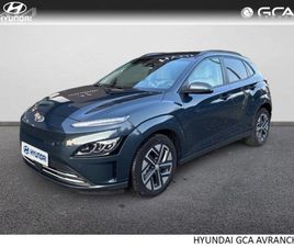 ELECTRIC 39KWH - 136CH EXECUTIVE